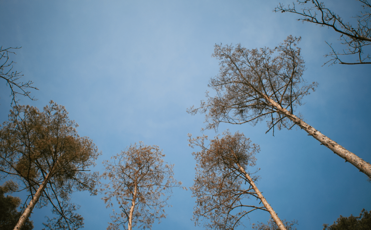 How to source top talent at a high-growth company