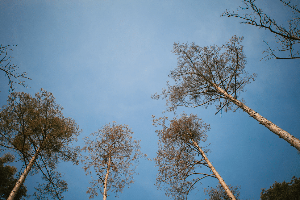 How to source top talent at a high-growth company