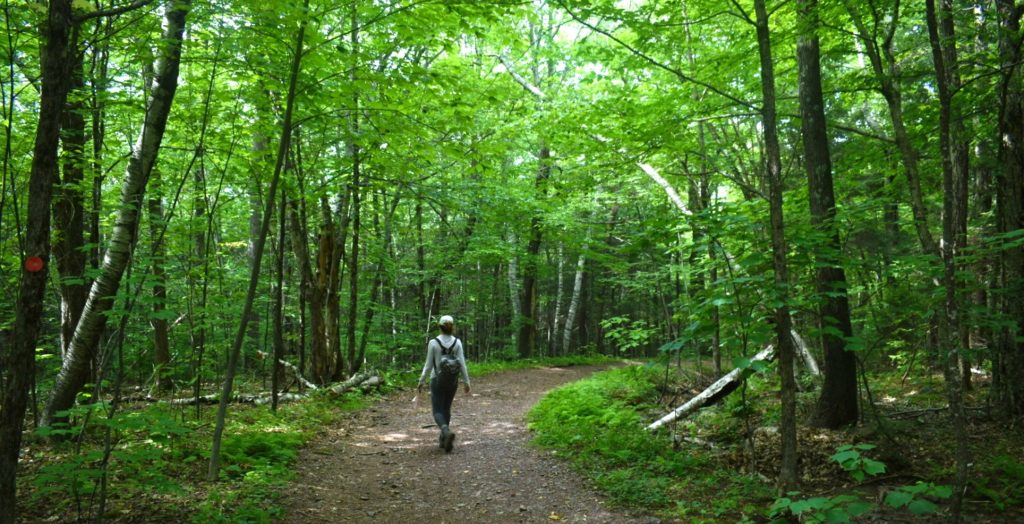 Share stories of employee work-life balance (and vacation!)